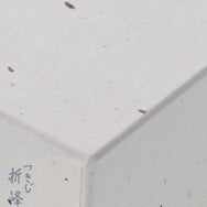 紙箱 SJ100用 2本入