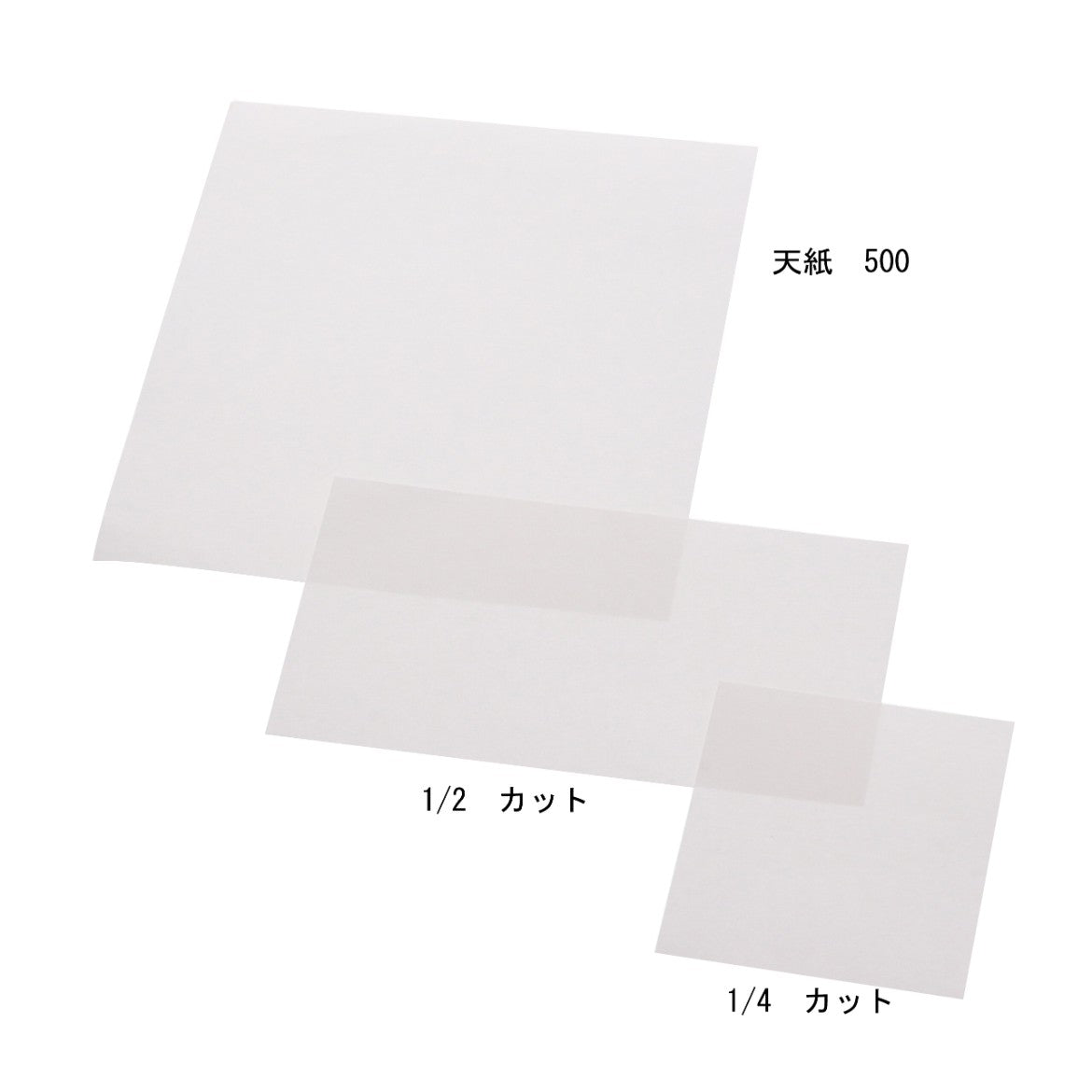 天紙 500 1／2カット
