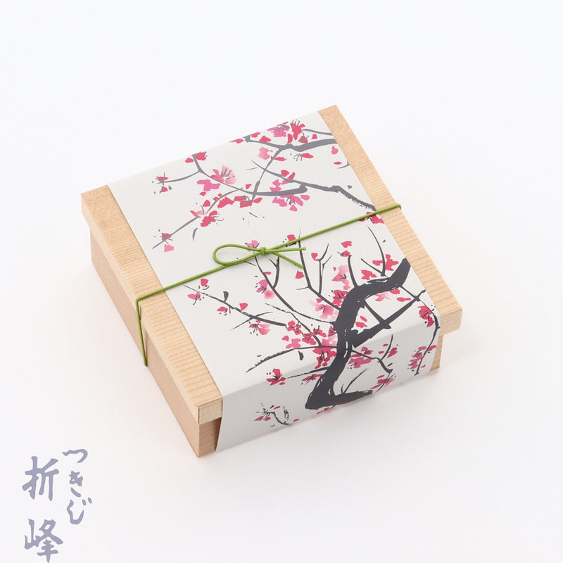 掛紙 春うらら 100-297