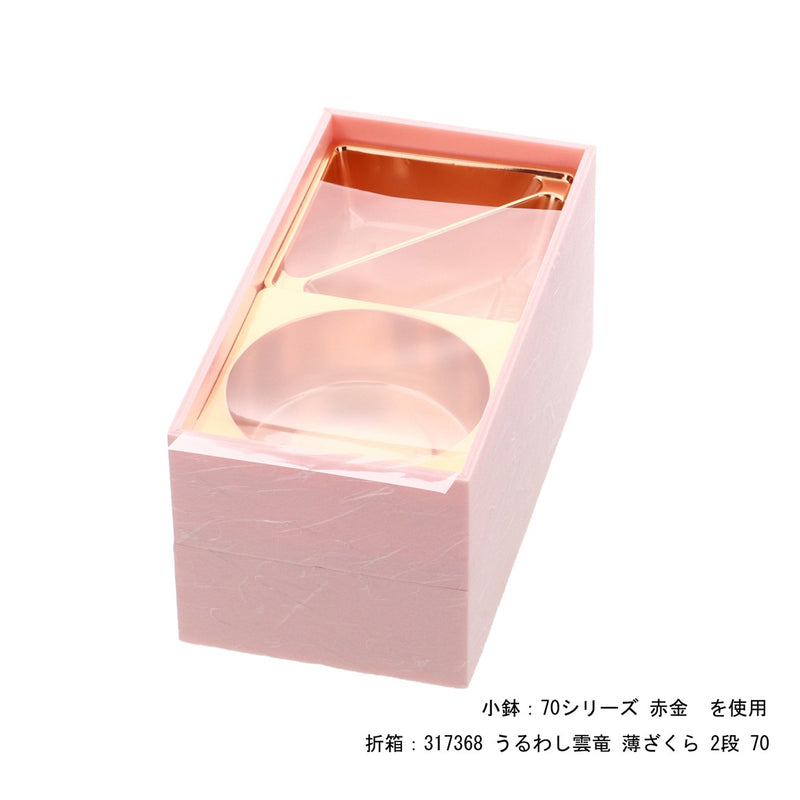 抗菌シート 70ー2個用 191×95mm