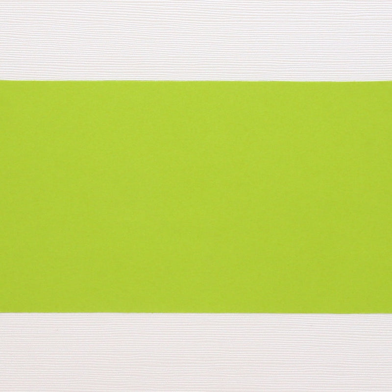 紙の帯 黄緑 80×720mm