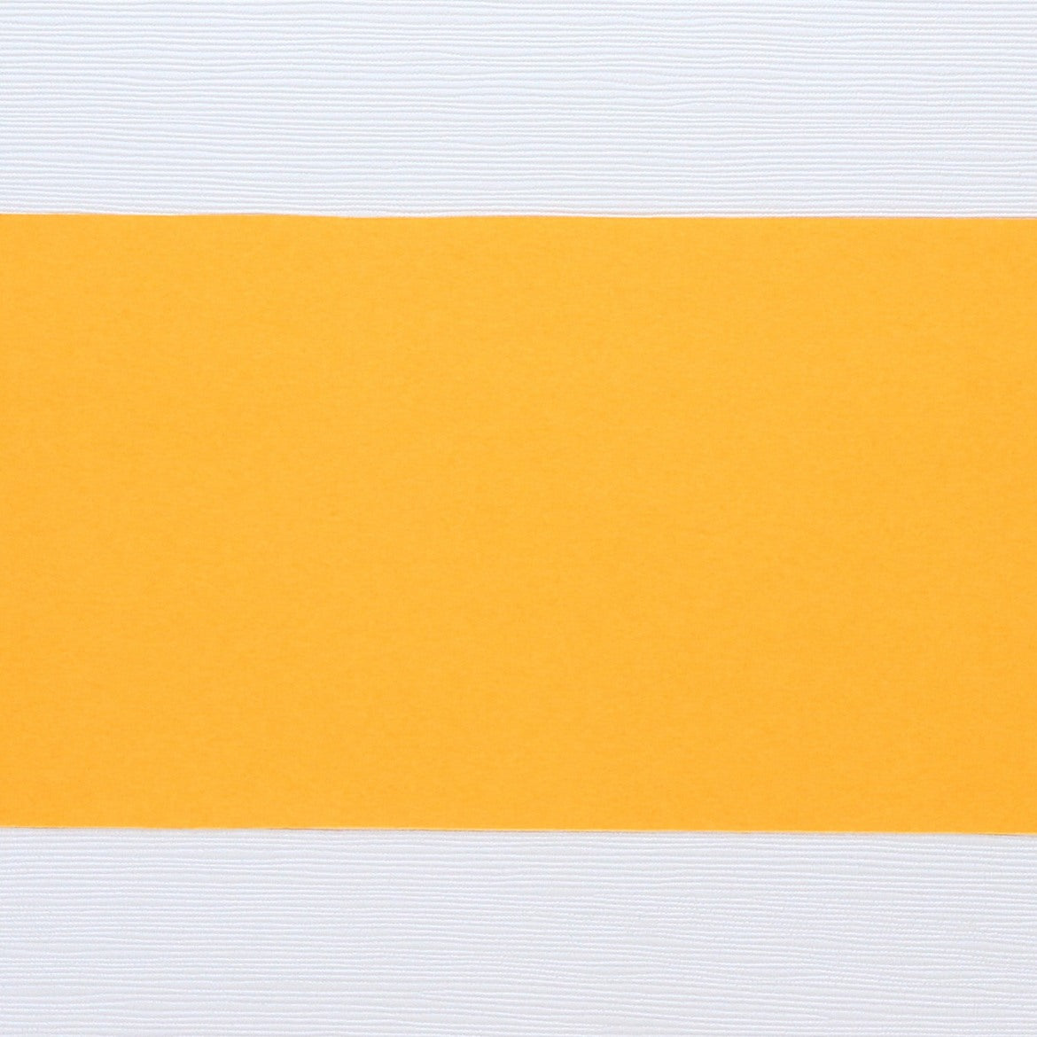 紙の帯 山吹 80×720mm