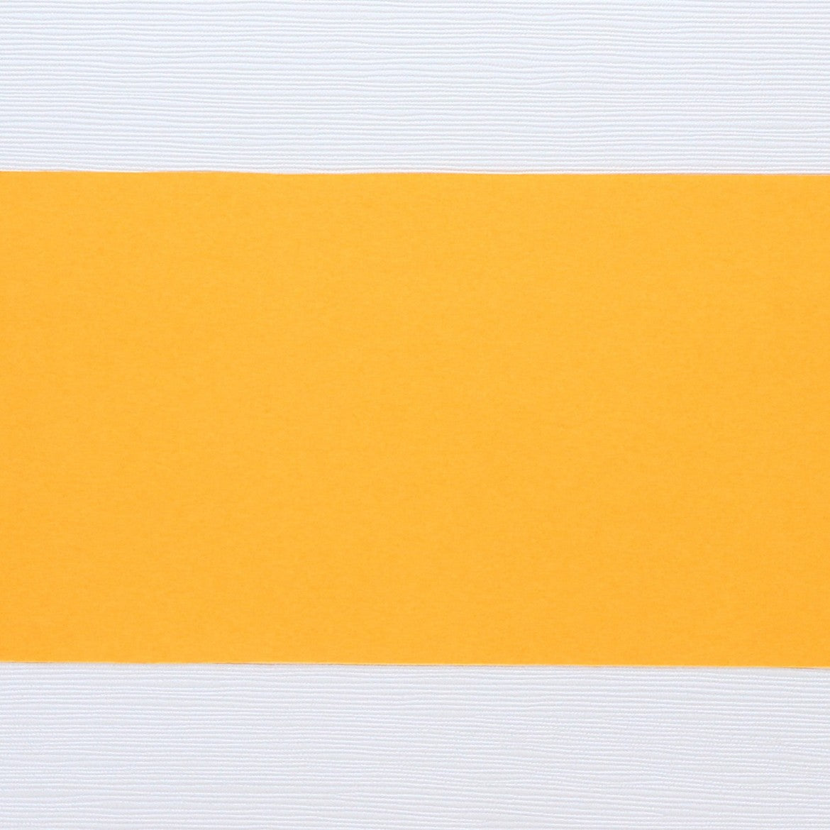 紙の帯 山吹  80×460mm