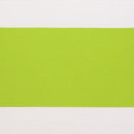 紙の帯 黄緑 65×360mm