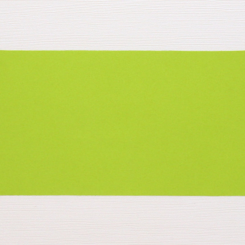 紙の帯 黄緑 65×360mm