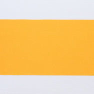 紙の帯 山吹 65×360mm