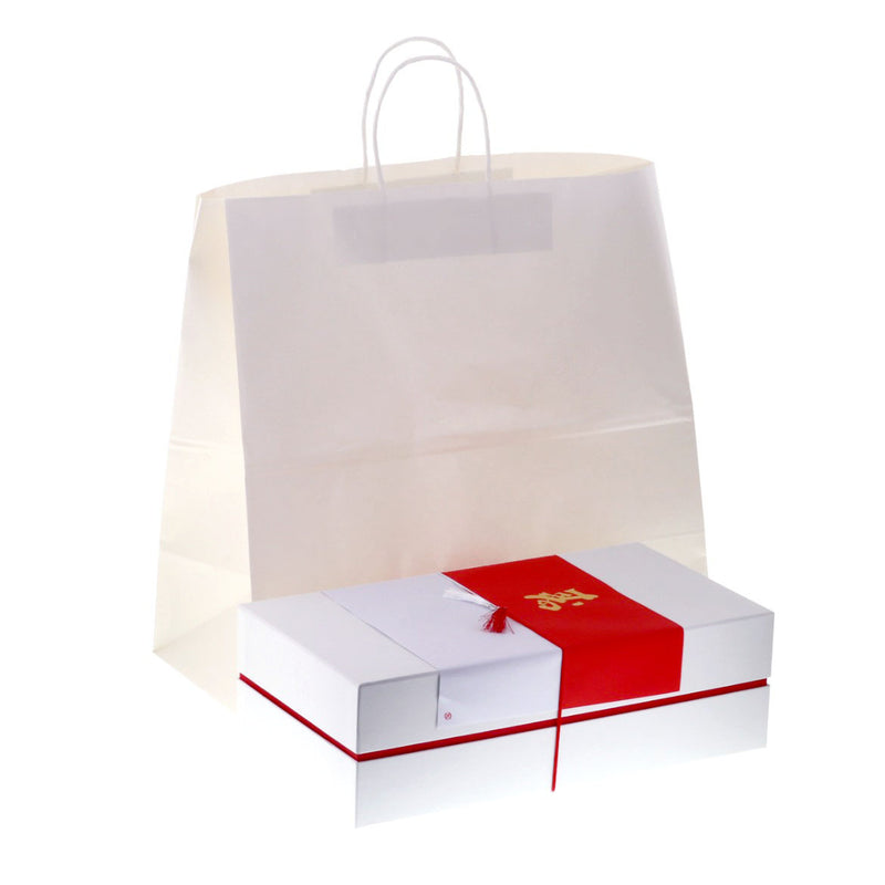 紙手提 HW45 片ツヤムジ
