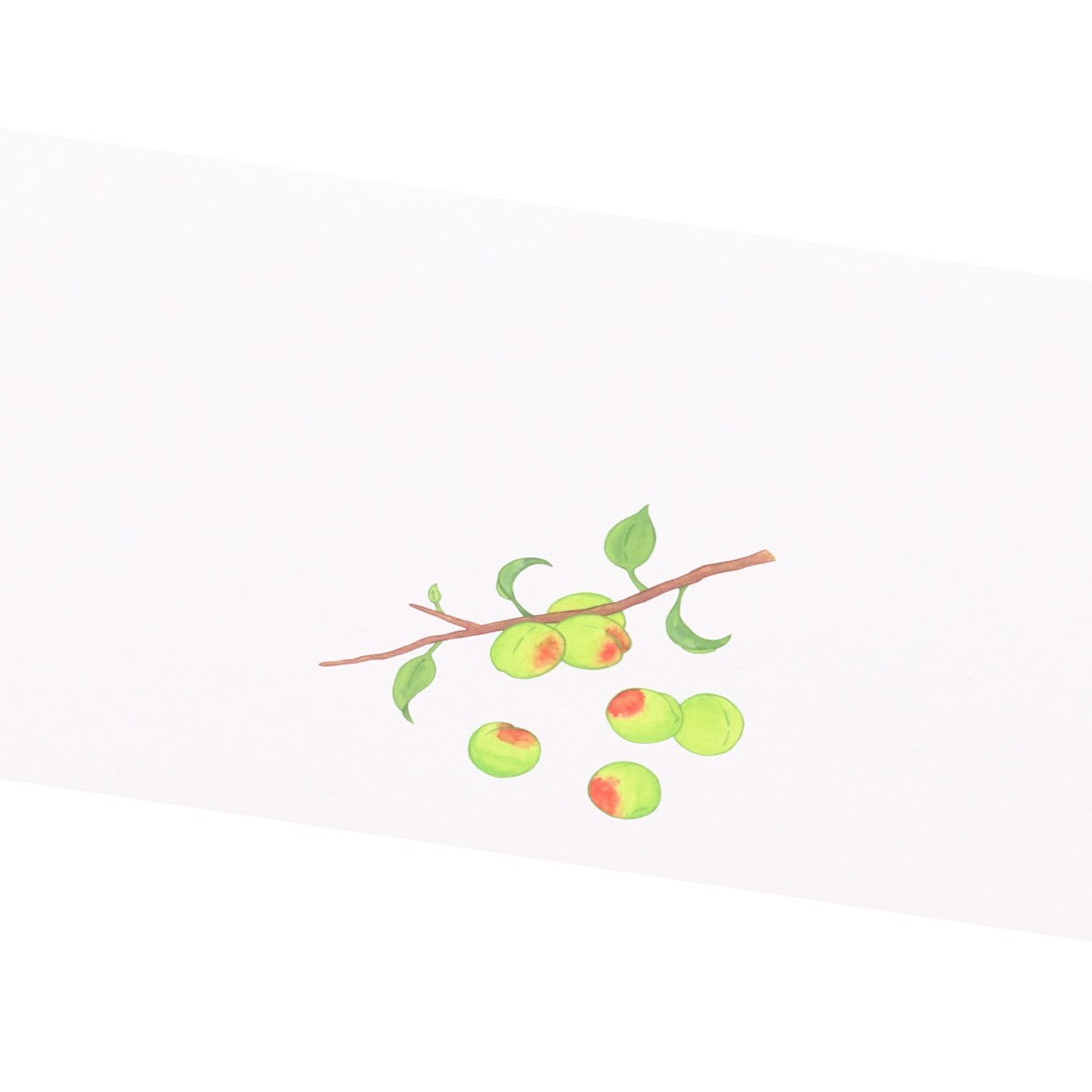 掛紙「青梅」120×400mm