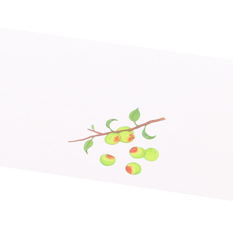 掛紙「青梅」120×400mm