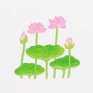 掛紙「蓮の花」120×400mm