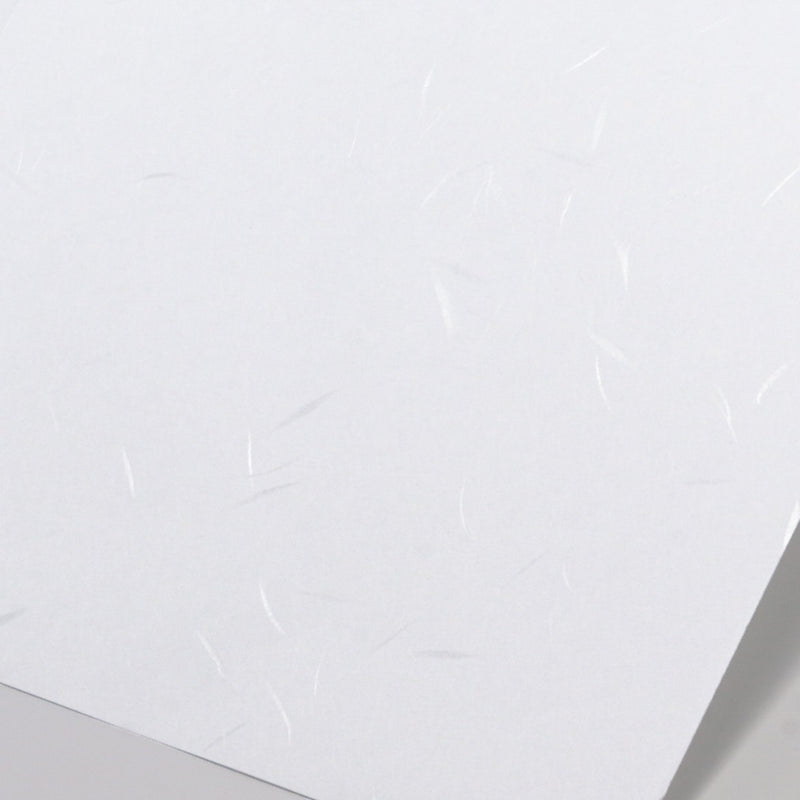 和紙 掛紙 白藤 120×390mm