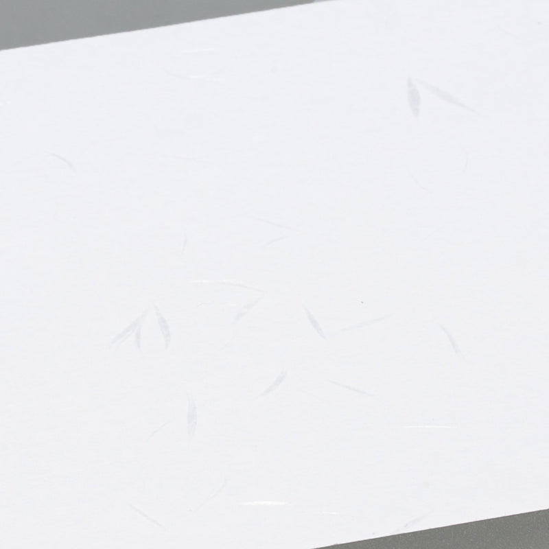 和紙 掛紙 白藤 120×390mm