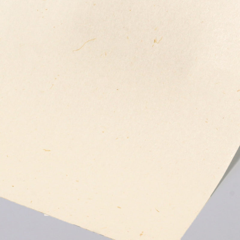和紙 掛紙 月桃 生成 120×390mm