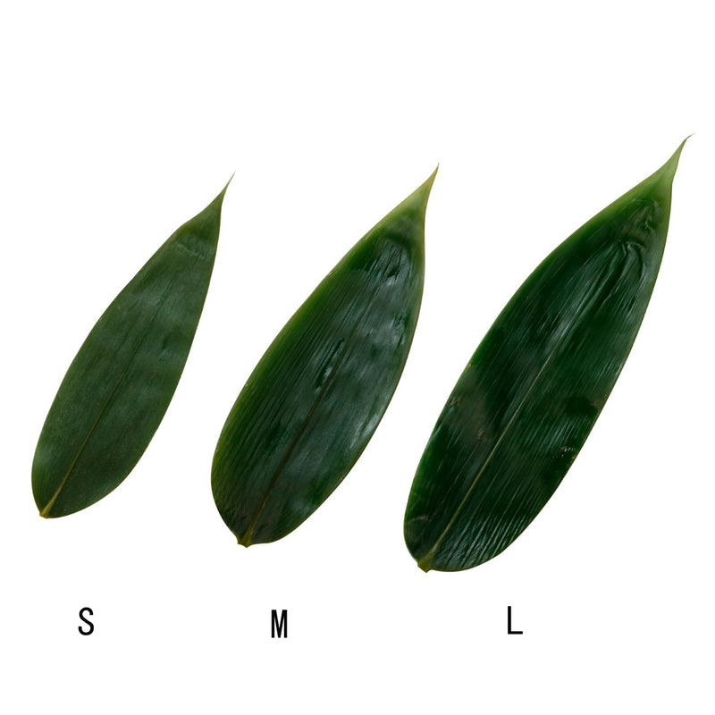 生笹 M （乾燥防止＋抗菌） 日本製